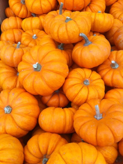 Thanksgiving Food Prep Timeline